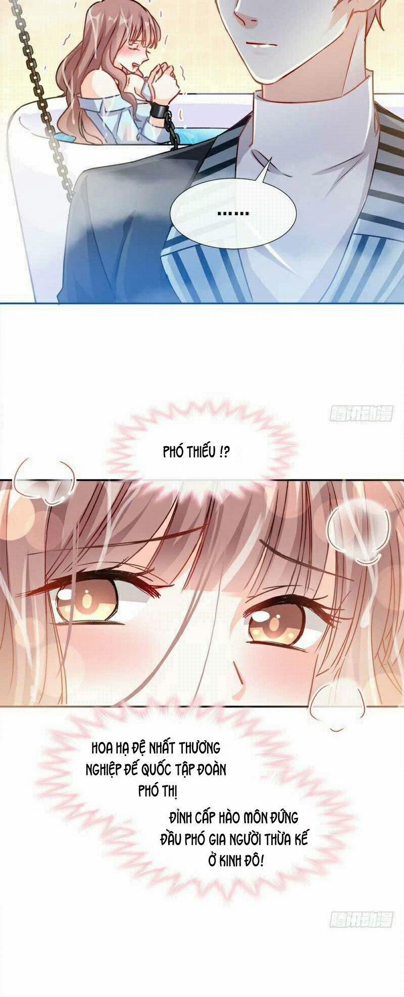 Bá Đạo Tổng Tài Nhẹ Nhàng Yêu 1 trang 15