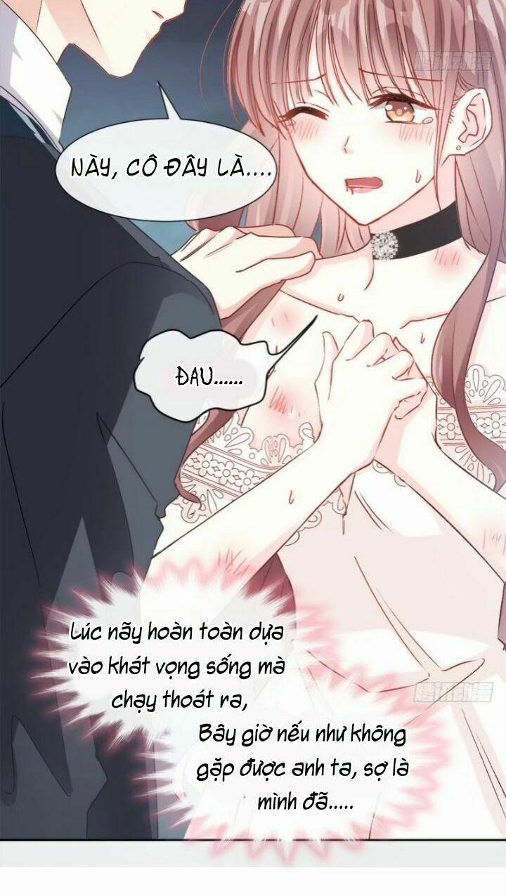 Bá Đạo Tổng Tài Nhẹ Nhàng Yêu 12 trang 2