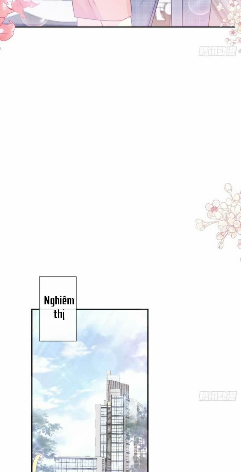 Bá Đạo Tổng Tài Nhẹ Nhàng Yêu 212 trang 27