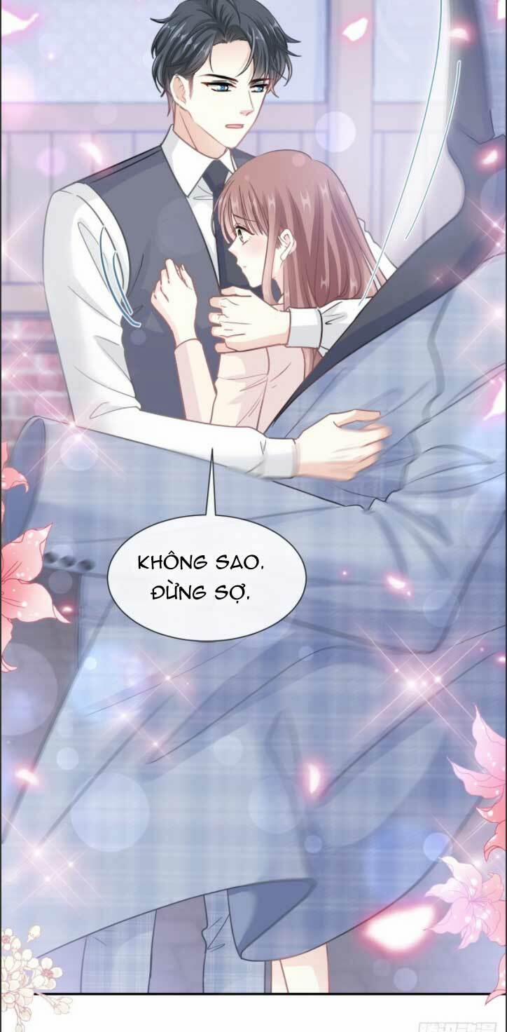 Bá Đạo Tổng Tài Nhẹ Nhàng Yêu 213 trang 25