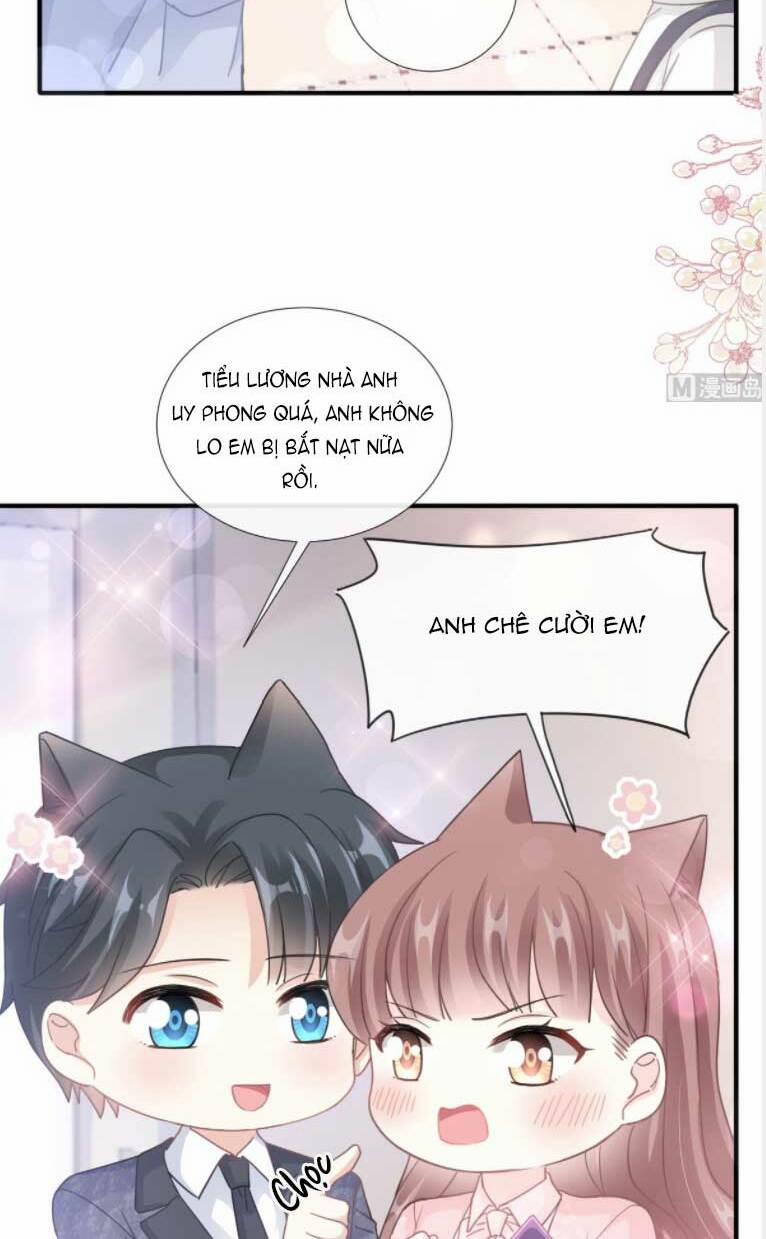 Bá Đạo Tổng Tài Nhẹ Nhàng Yêu 227 trang 4