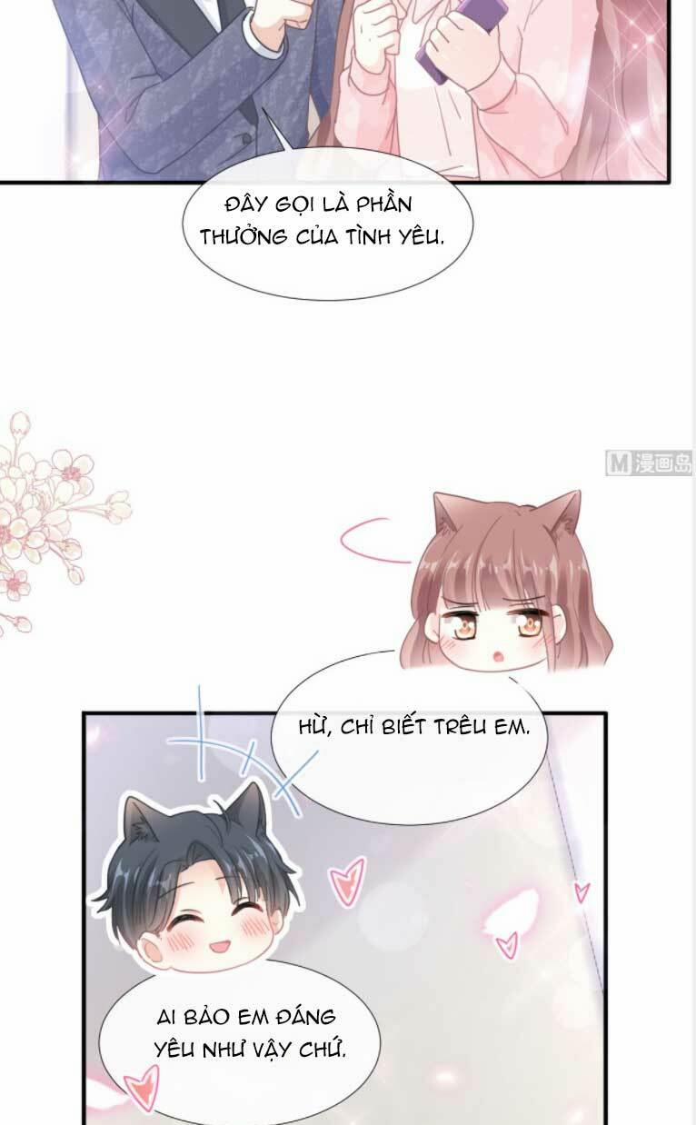 Bá Đạo Tổng Tài Nhẹ Nhàng Yêu 227 trang 5