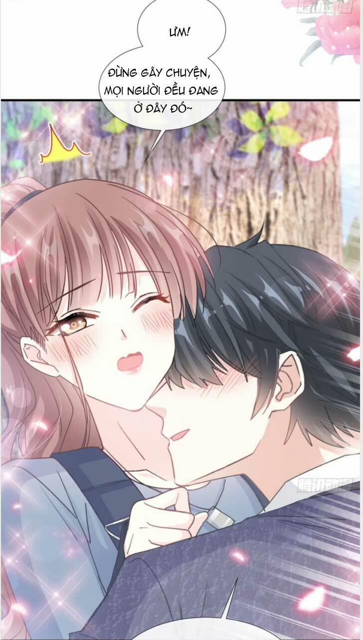 Bá Đạo Tổng Tài Nhẹ Nhàng Yêu 228.1 trang 11