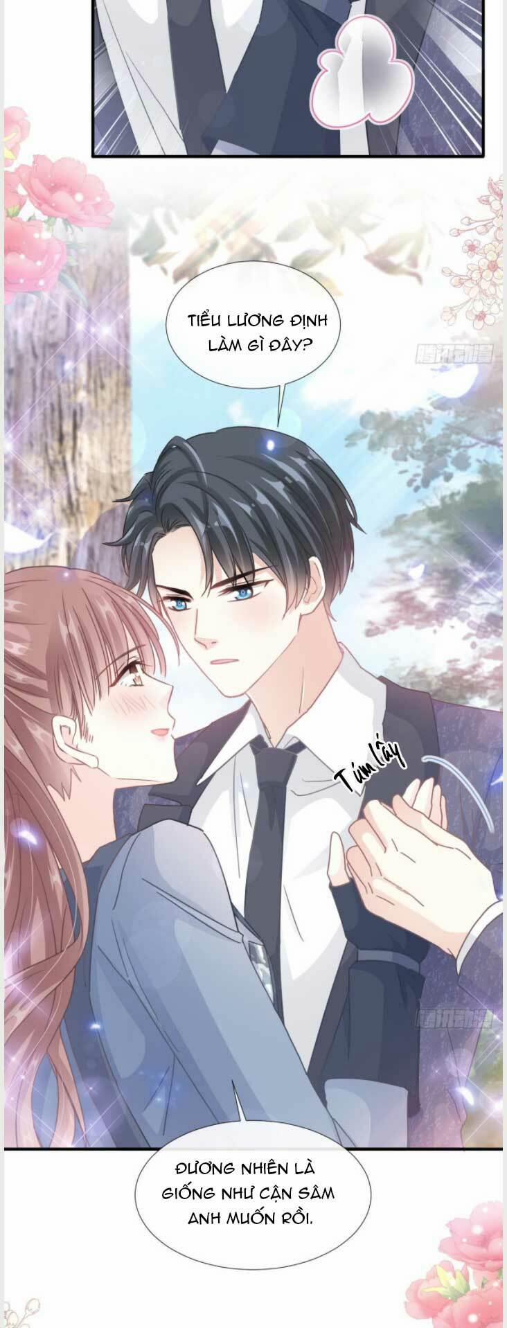 Bá Đạo Tổng Tài Nhẹ Nhàng Yêu 228.2 trang 7