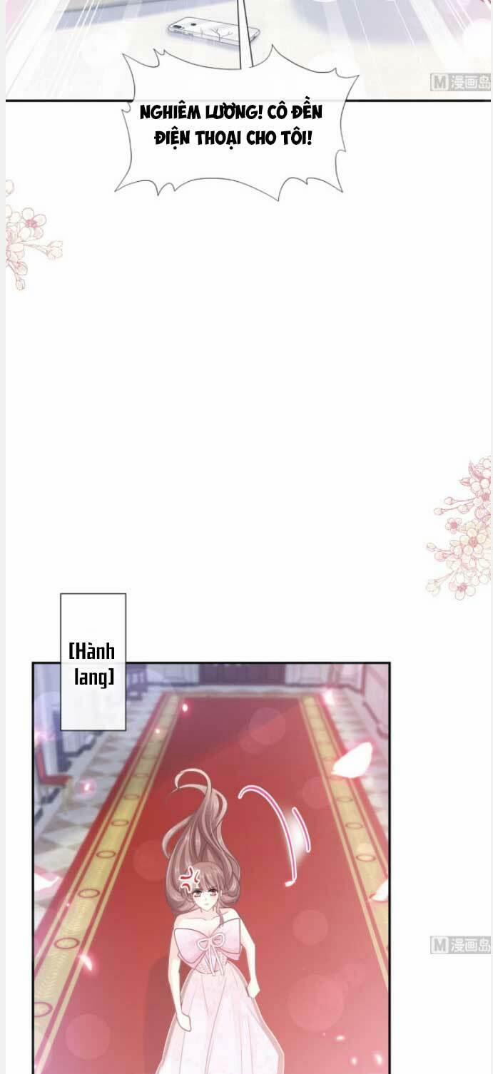 Bá Đạo Tổng Tài Nhẹ Nhàng Yêu 232 trang 17