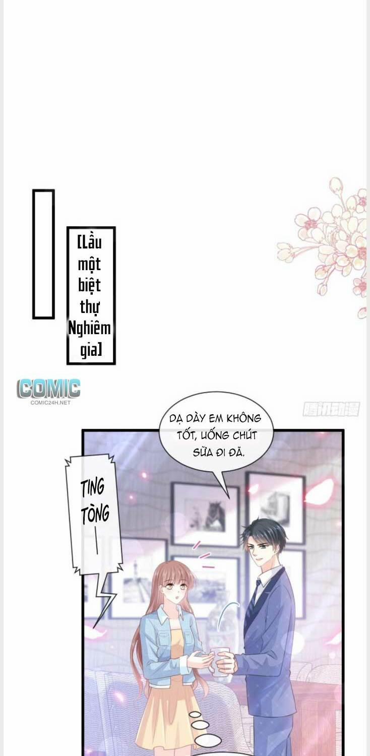 Bá Đạo Tổng Tài Nhẹ Nhàng Yêu 236 trang 17