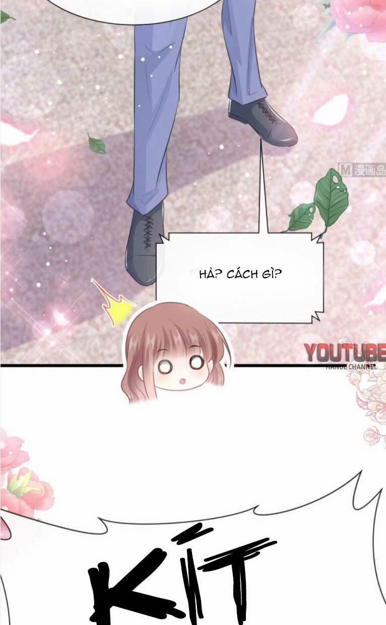 Bá Đạo Tổng Tài Nhẹ Nhàng Yêu 238 trang 11