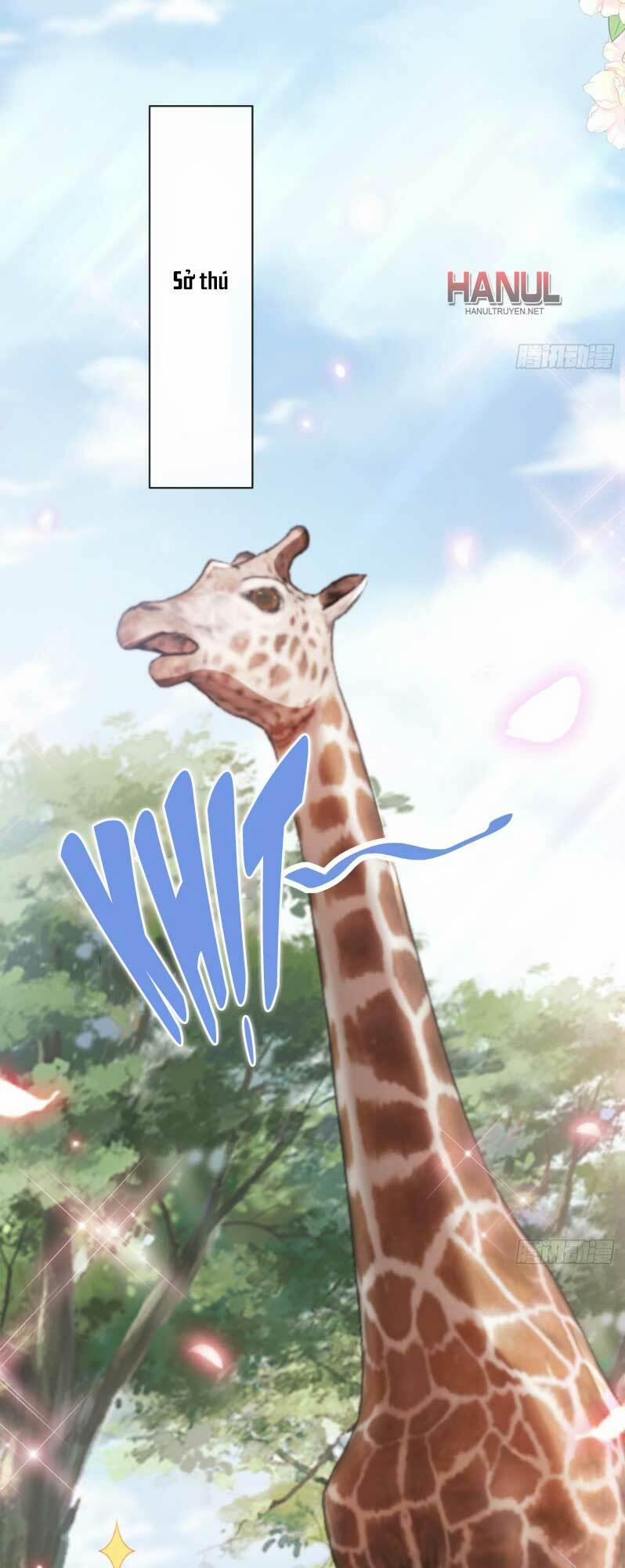 Bá Đạo Tổng Tài Nhẹ Nhàng Yêu 306 trang 13