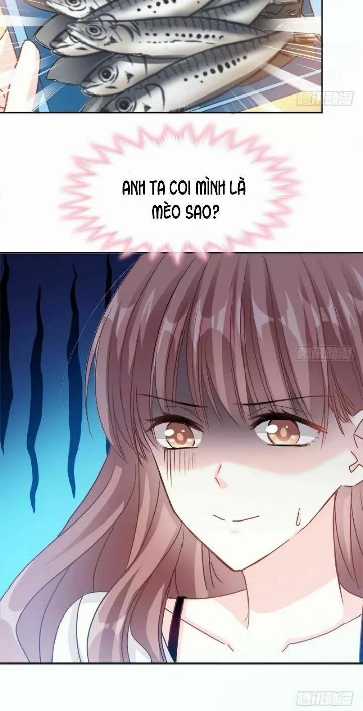 Bá Đạo Tổng Tài Nhẹ Nhàng Yêu 4 trang 8