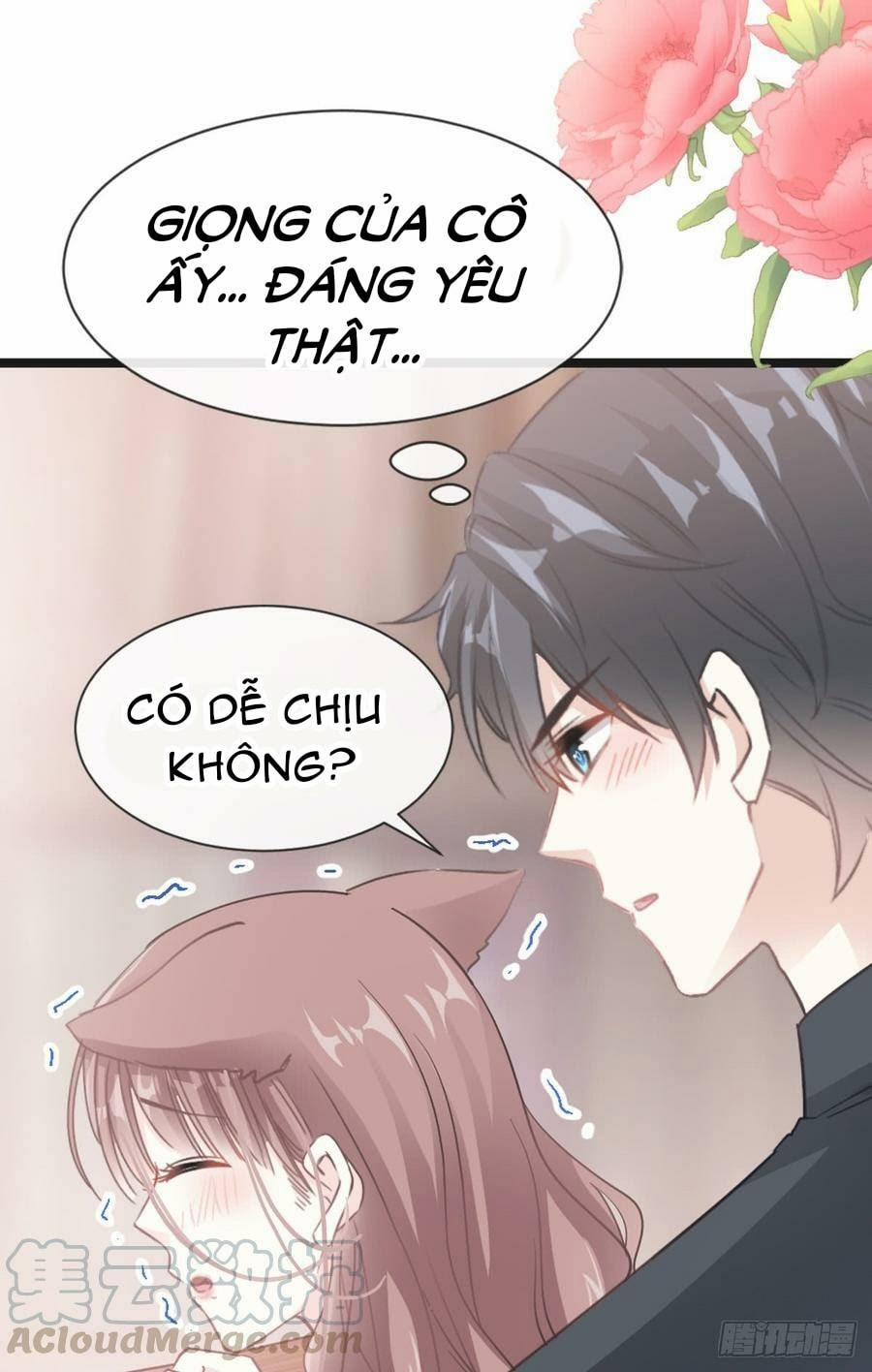 Bá Đạo Tổng Tài Nhẹ Nhàng Yêu 46 trang 19