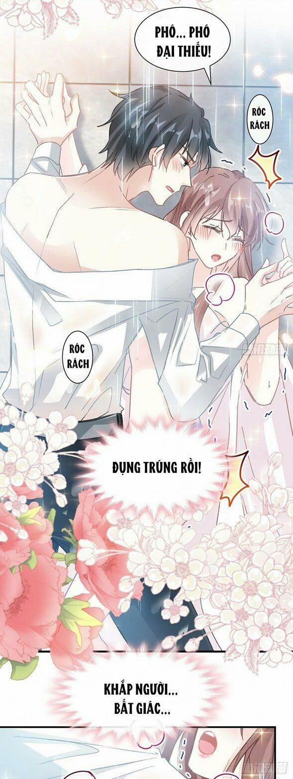 Bá Đạo Tổng Tài Nhẹ Nhàng Yêu 51 trang 12