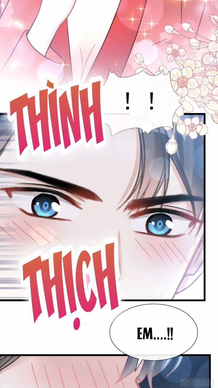 Bá Đạo Tổng Tài Nhẹ Nhàng Yêu 55 trang 24