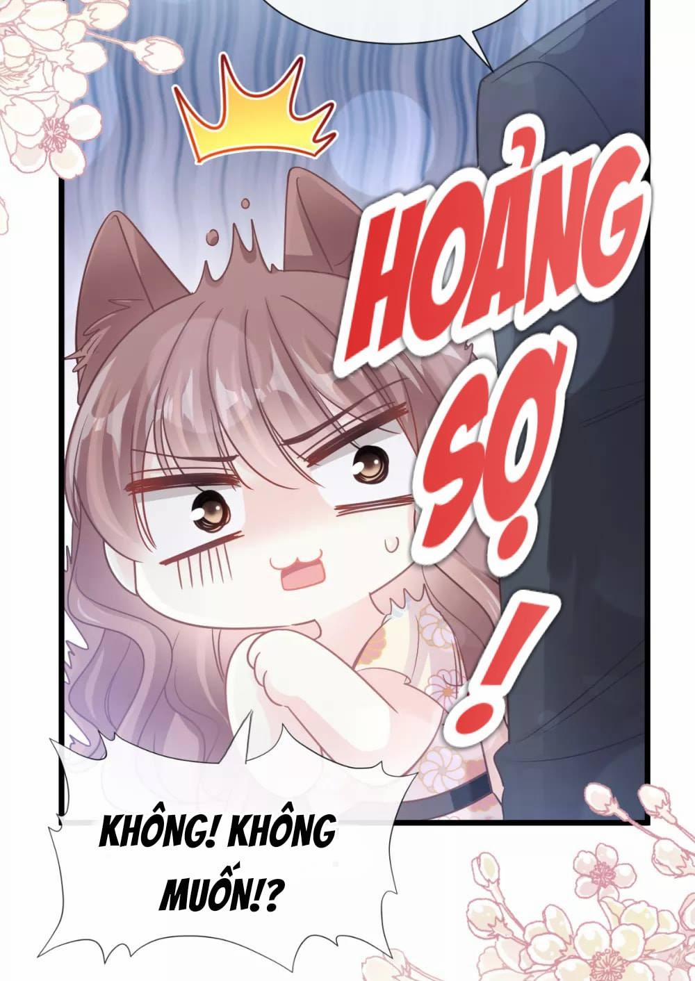 Bá Đạo Tổng Tài Nhẹ Nhàng Yêu 58 trang 13