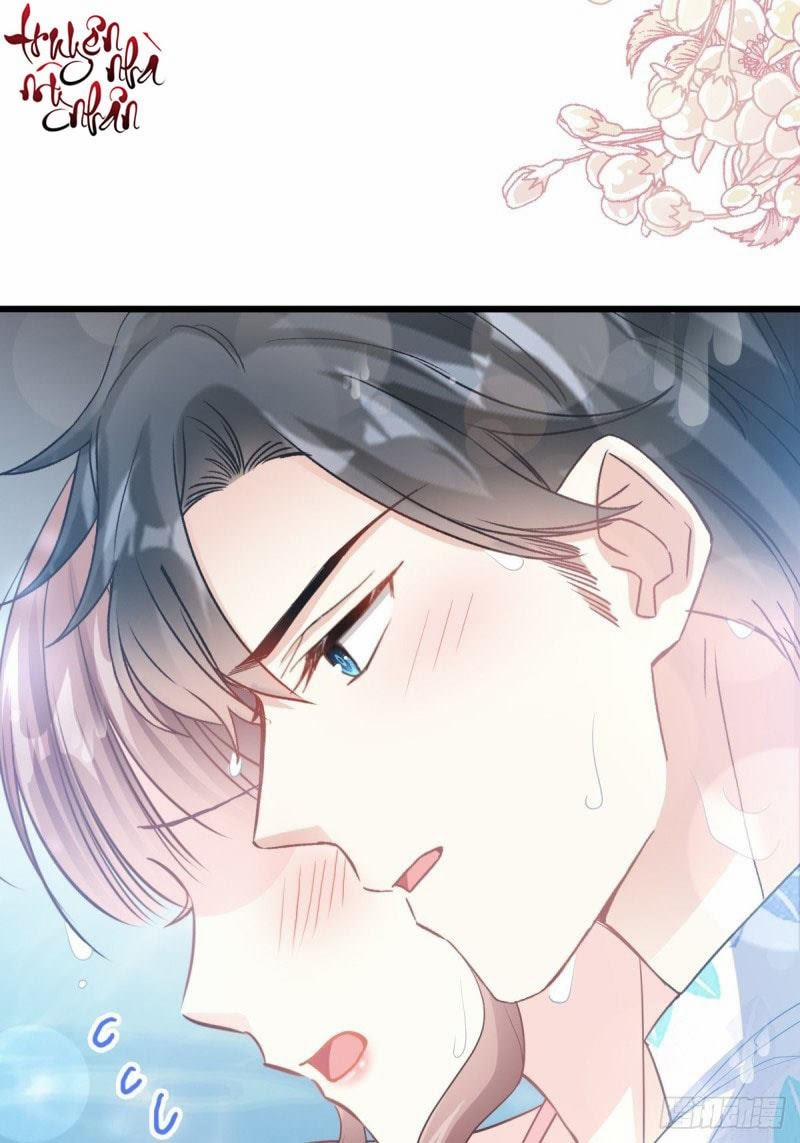 Bá Đạo Tổng Tài Nhẹ Nhàng Yêu 65 trang 11