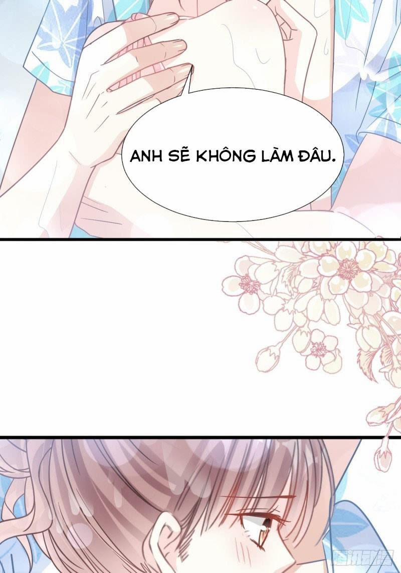 Bá Đạo Tổng Tài Nhẹ Nhàng Yêu 65 trang 24