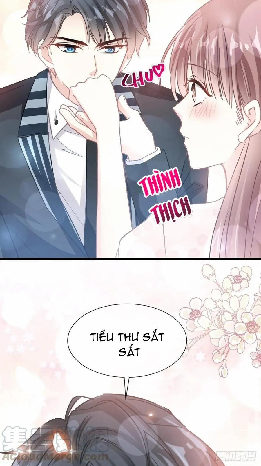 Bá Đạo Tổng Tài Nhẹ Nhàng Yêu 71 trang 29