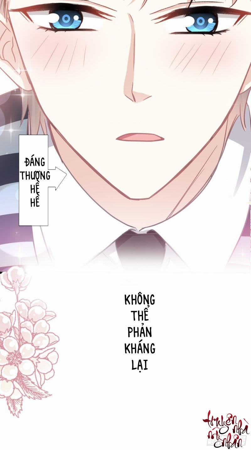 Bá Đạo Tổng Tài Nhẹ Nhàng Yêu 72 trang 37