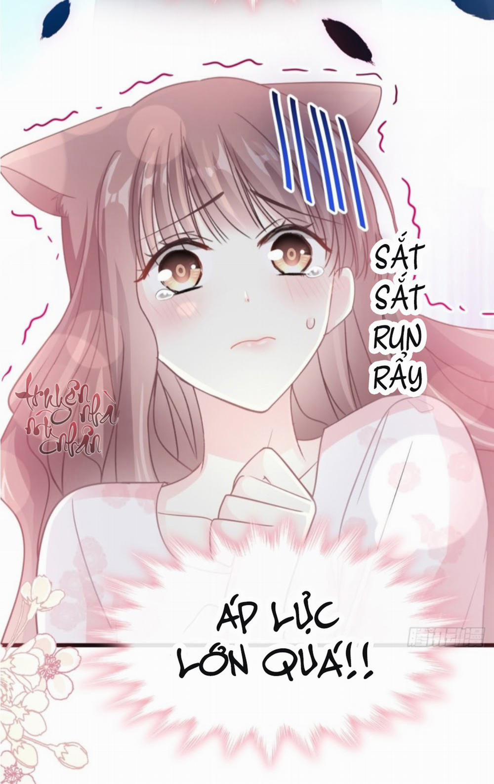 Bá Đạo Tổng Tài Nhẹ Nhàng Yêu 73 trang 31