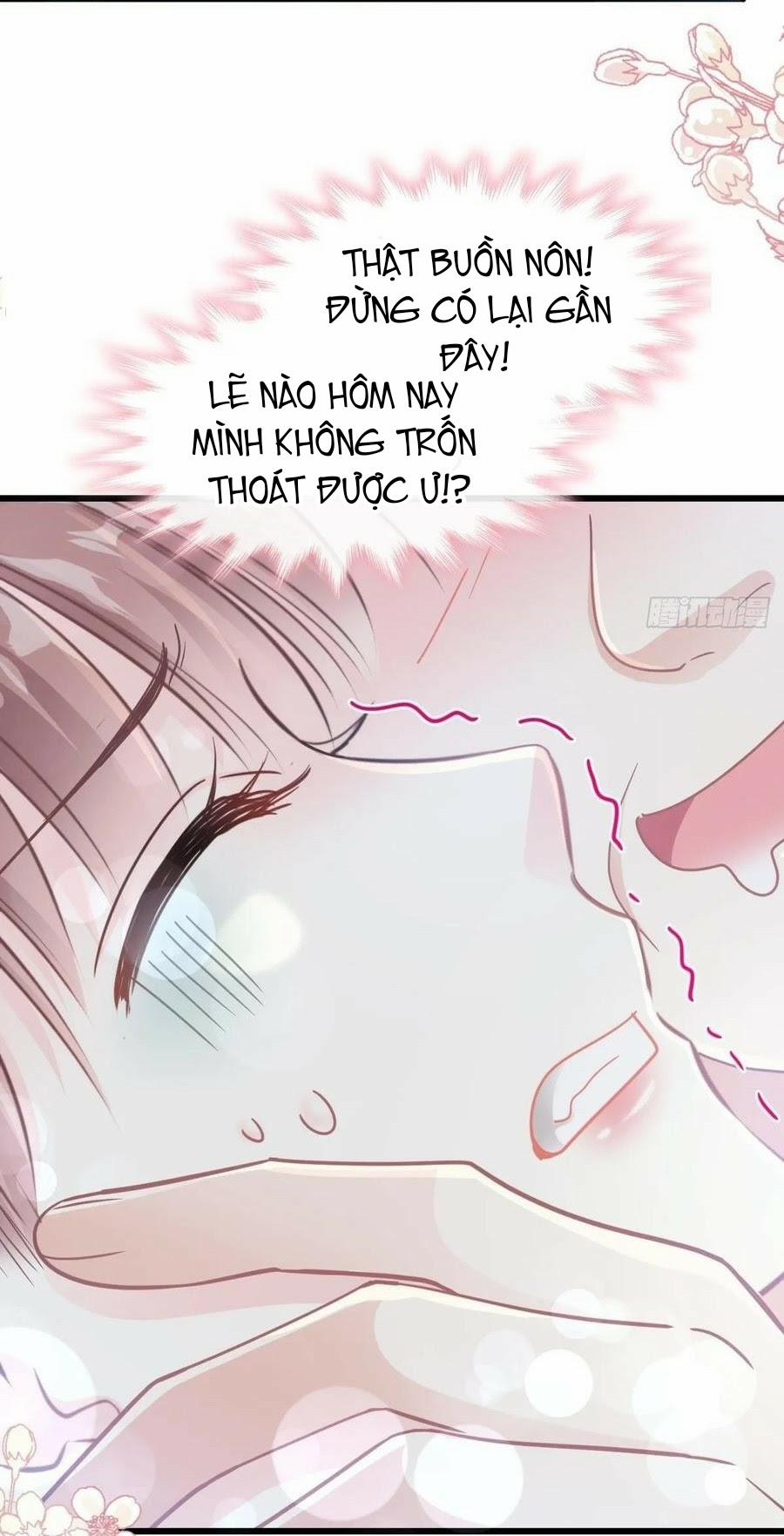 Bá Đạo Tổng Tài Nhẹ Nhàng Yêu 75 trang 11