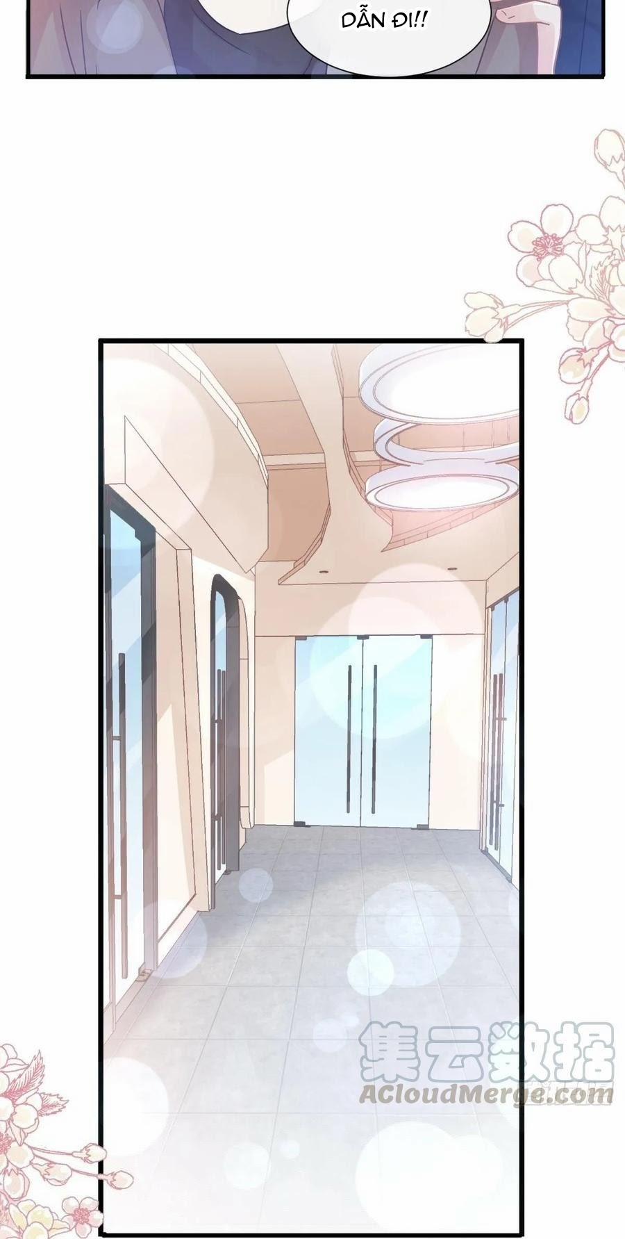 Bá Đạo Tổng Tài Nhẹ Nhàng Yêu 75 trang 15