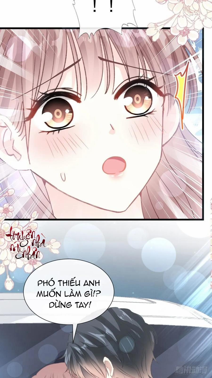 Bá Đạo Tổng Tài Nhẹ Nhàng Yêu 76 trang 5