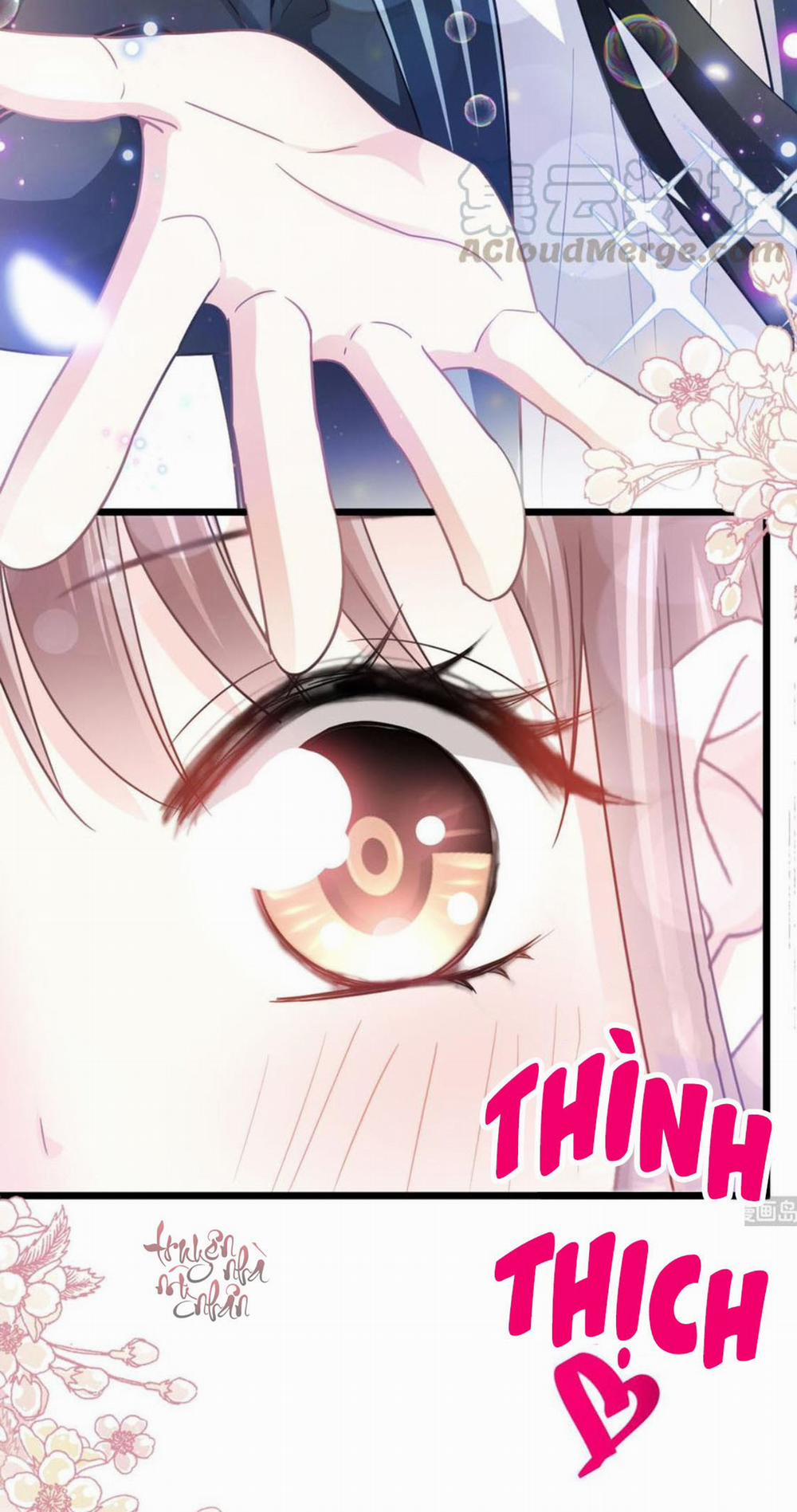 Bá Đạo Tổng Tài Nhẹ Nhàng Yêu 80 trang 2