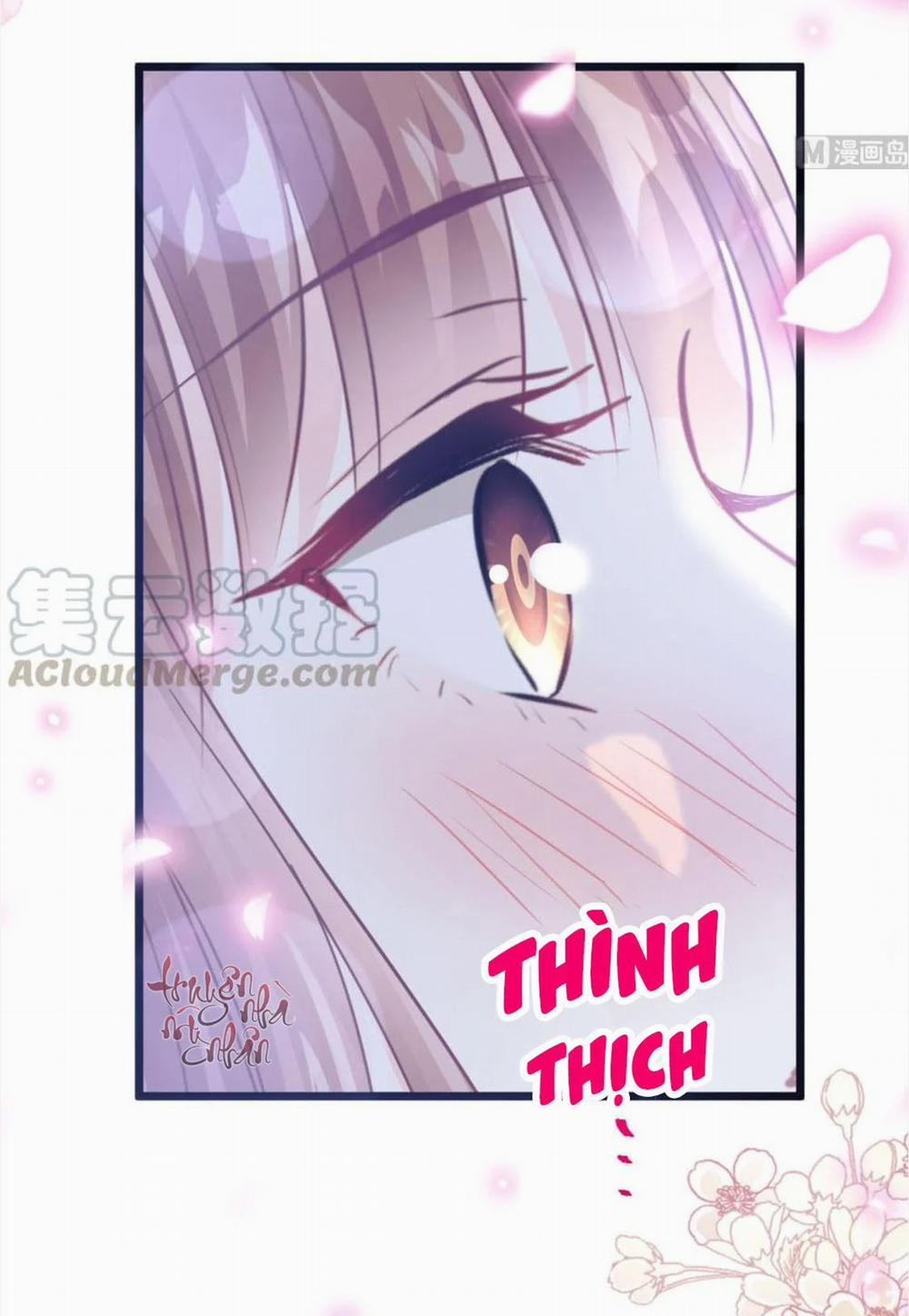 Bá Đạo Tổng Tài Nhẹ Nhàng Yêu 80 trang 20