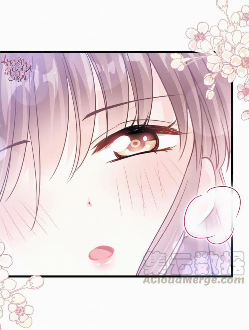 Bá Đạo Tổng Tài Nhẹ Nhàng Yêu 80 trang 24