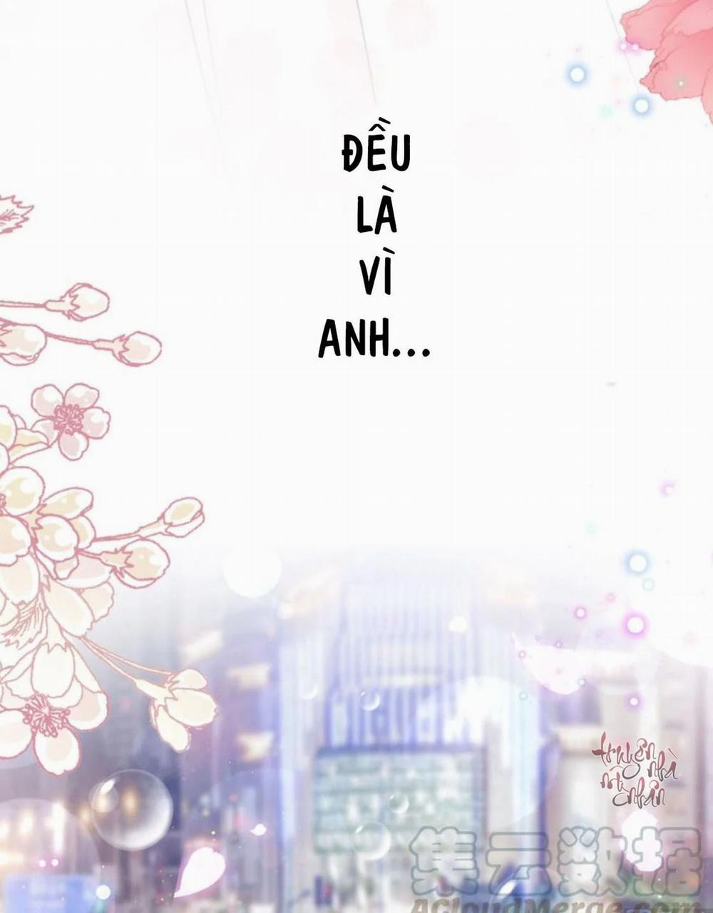 Bá Đạo Tổng Tài Nhẹ Nhàng Yêu 80 trang 34