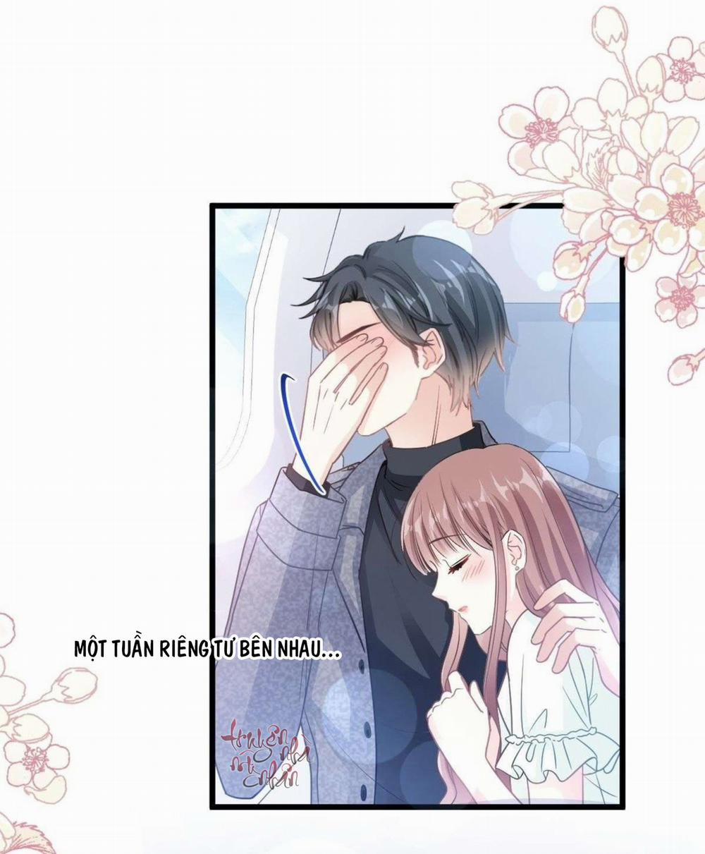 Bá Đạo Tổng Tài Nhẹ Nhàng Yêu 84 trang 13