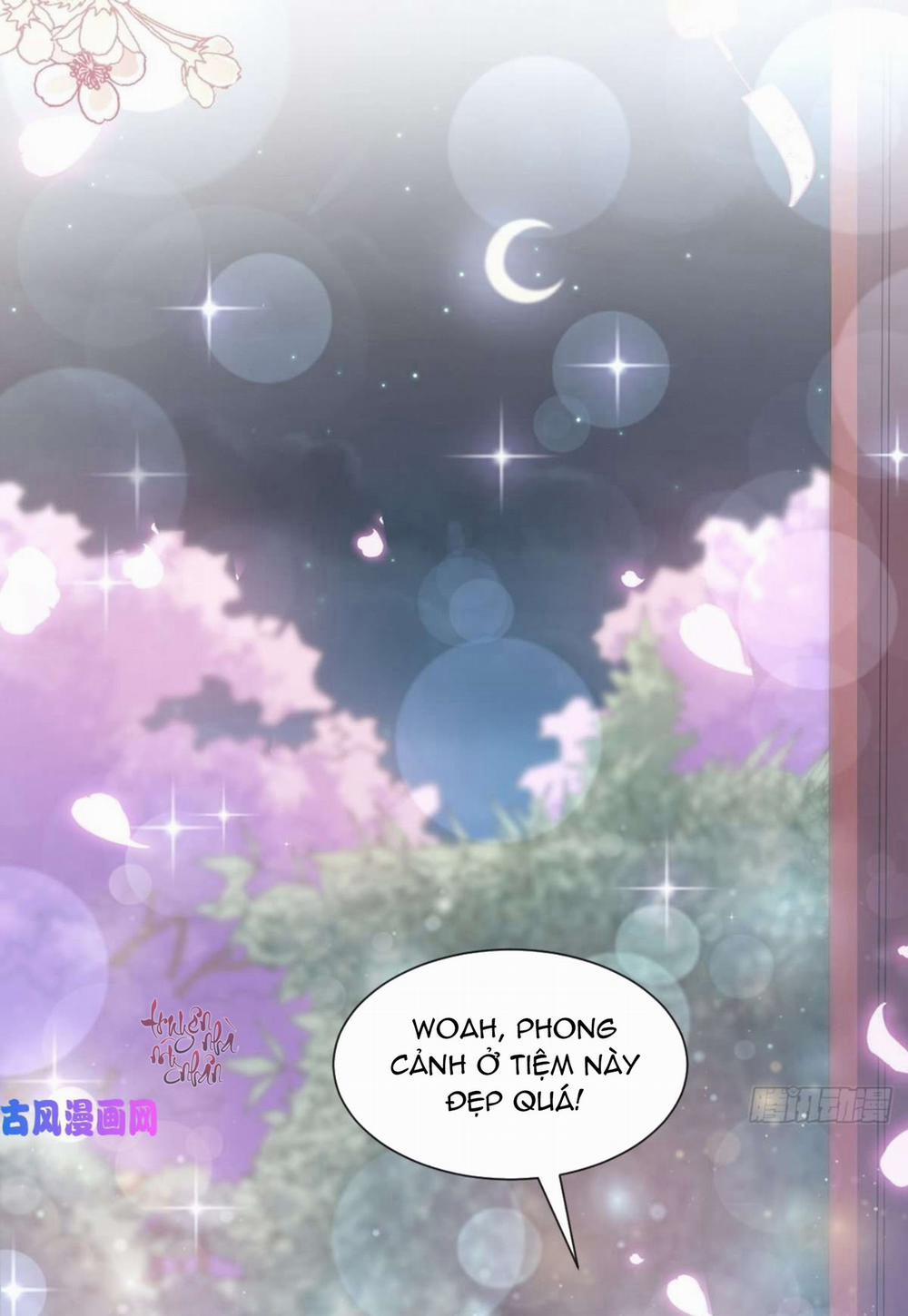 Bá Đạo Tổng Tài Nhẹ Nhàng Yêu 84 trang 16