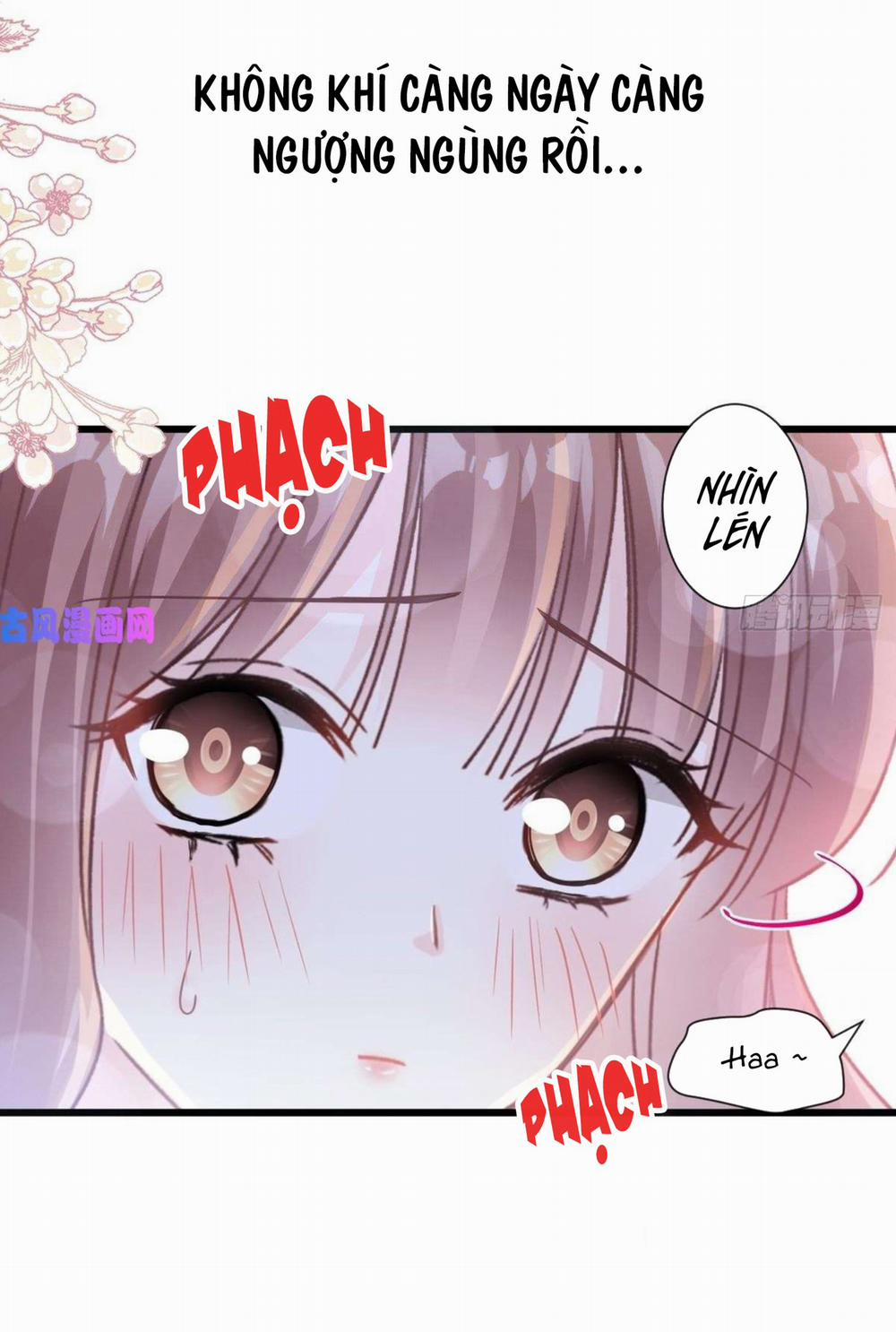 Bá Đạo Tổng Tài Nhẹ Nhàng Yêu 84 trang 24