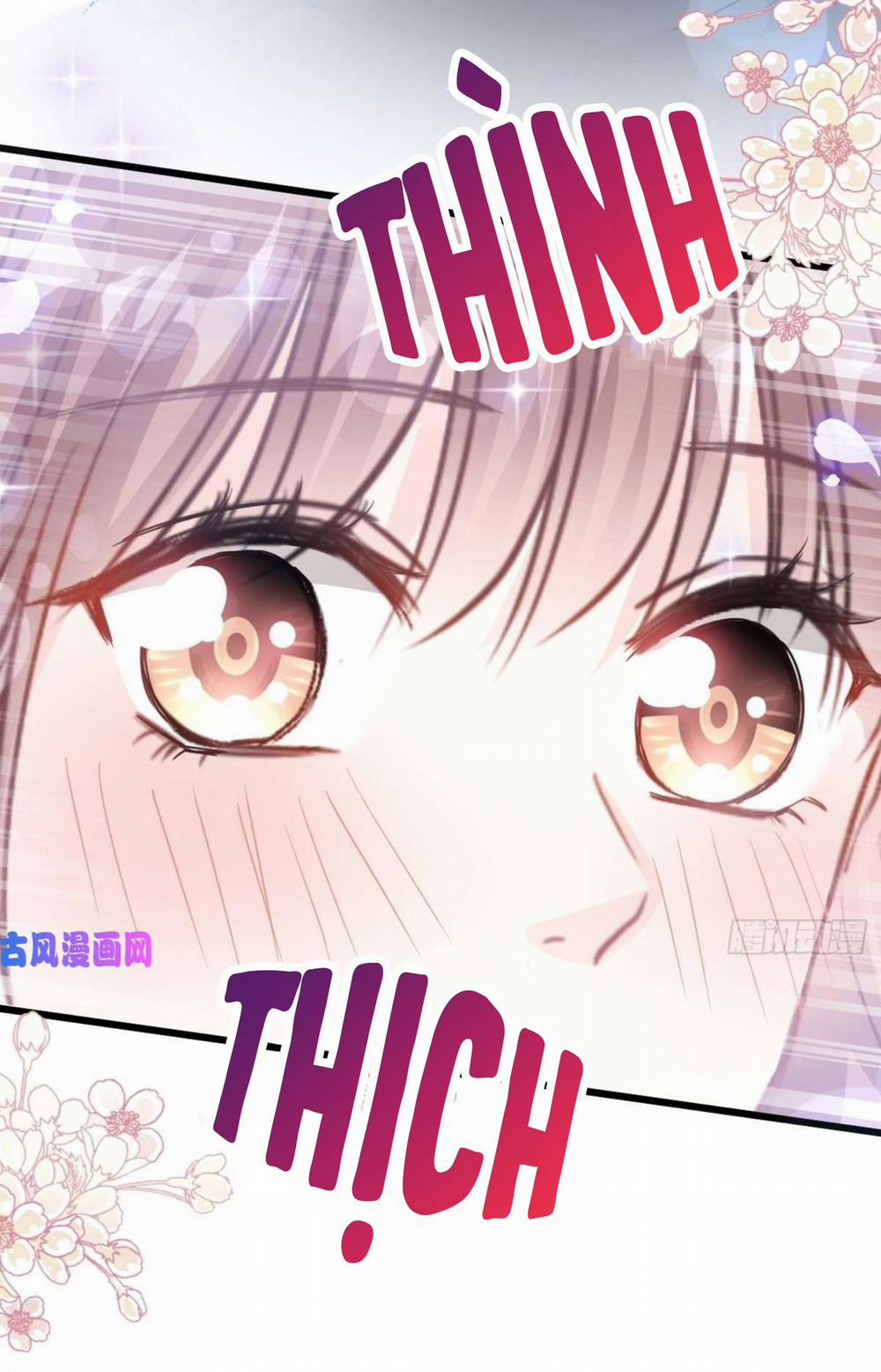 Bá Đạo Tổng Tài Nhẹ Nhàng Yêu 84 trang 27