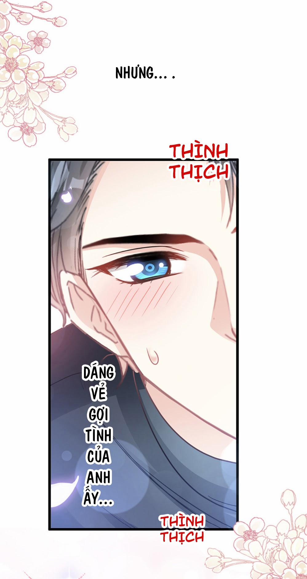 Bá Đạo Tổng Tài Nhẹ Nhàng Yêu 85 trang 11