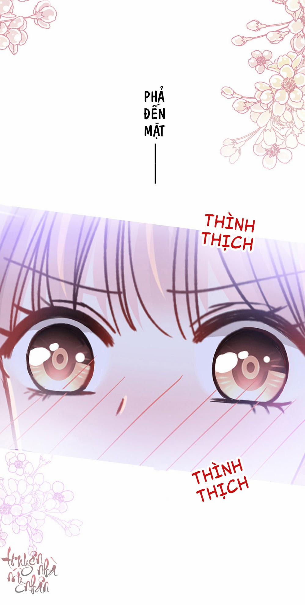 Bá Đạo Tổng Tài Nhẹ Nhàng Yêu 85 trang 13