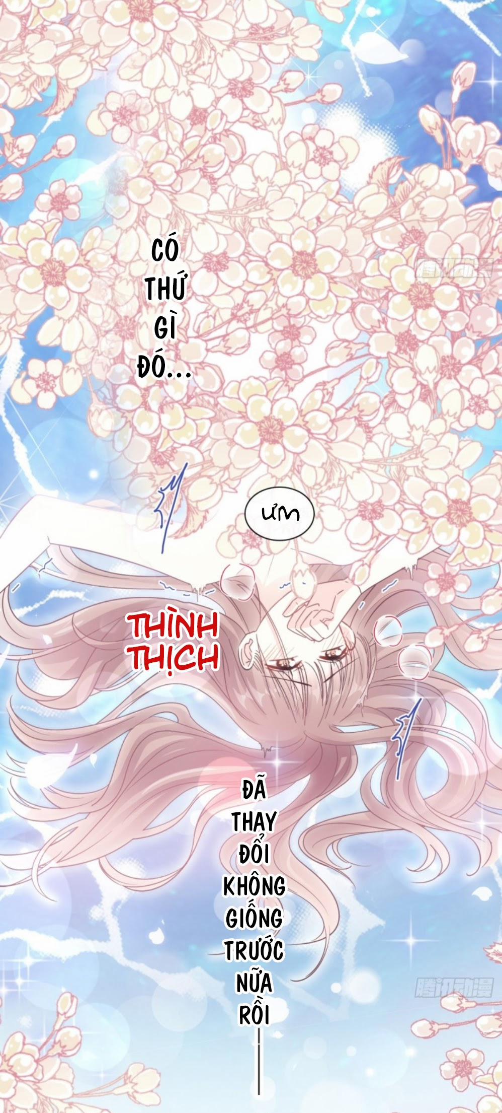 Bá Đạo Tổng Tài Nhẹ Nhàng Yêu 85 trang 38