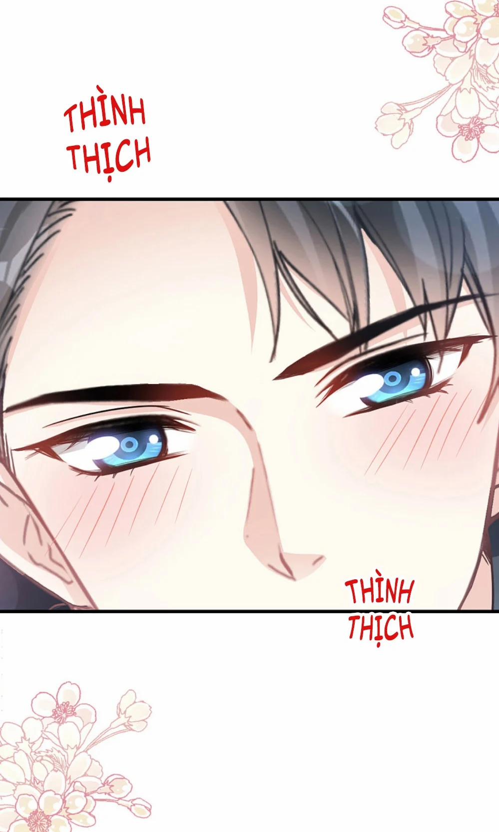 Bá Đạo Tổng Tài Nhẹ Nhàng Yêu 85 trang 6