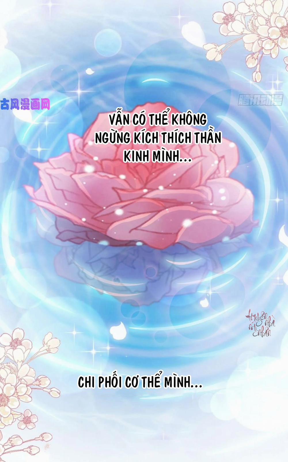 Bá Đạo Tổng Tài Nhẹ Nhàng Yêu 90 trang 13