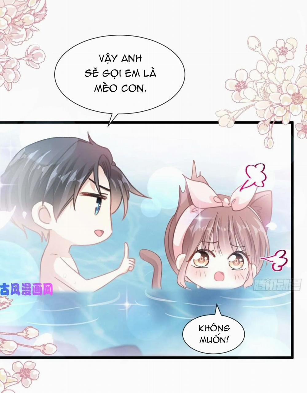 Bá Đạo Tổng Tài Nhẹ Nhàng Yêu 90 trang 24