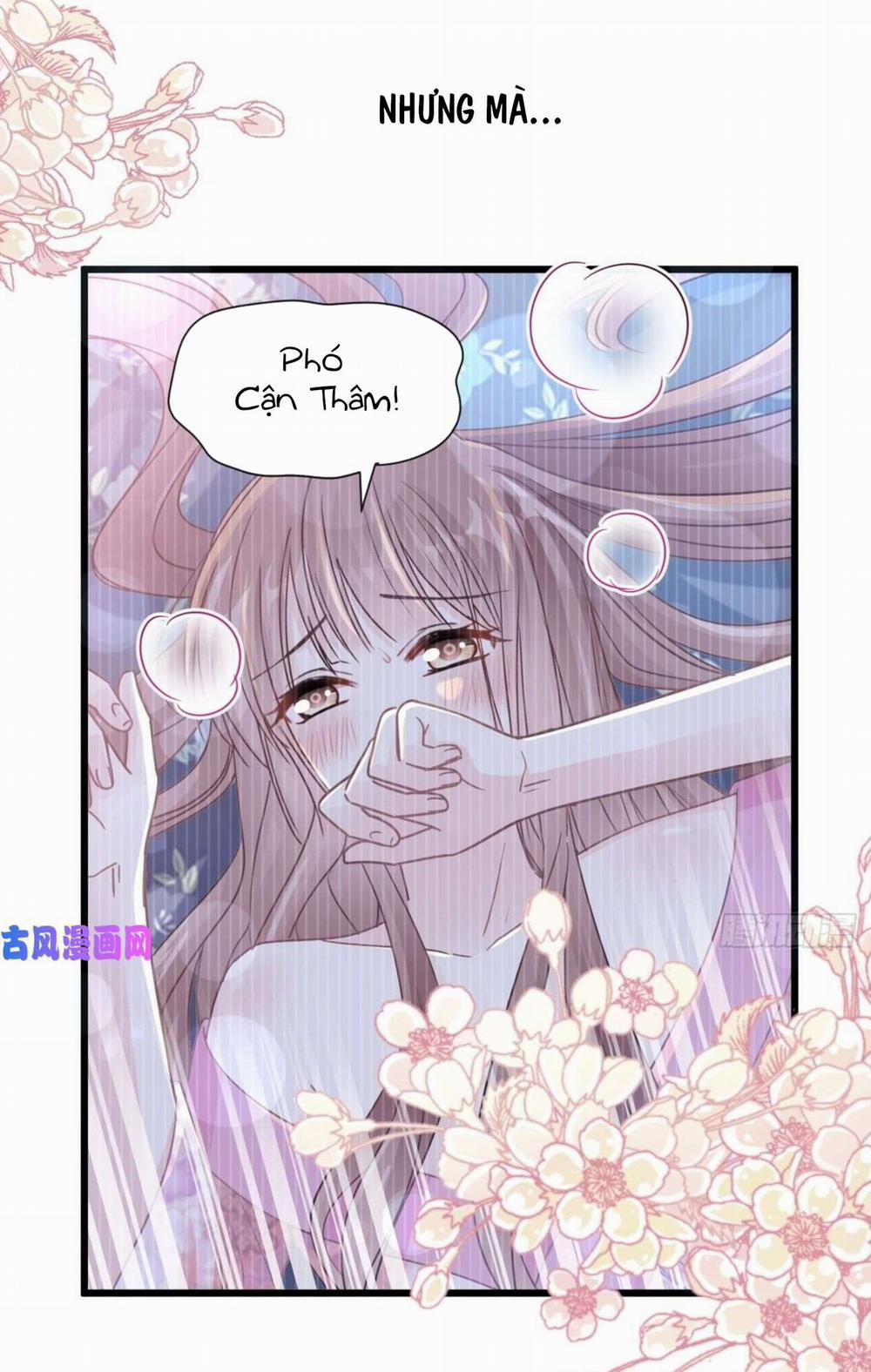 Bá Đạo Tổng Tài Nhẹ Nhàng Yêu 91 trang 11