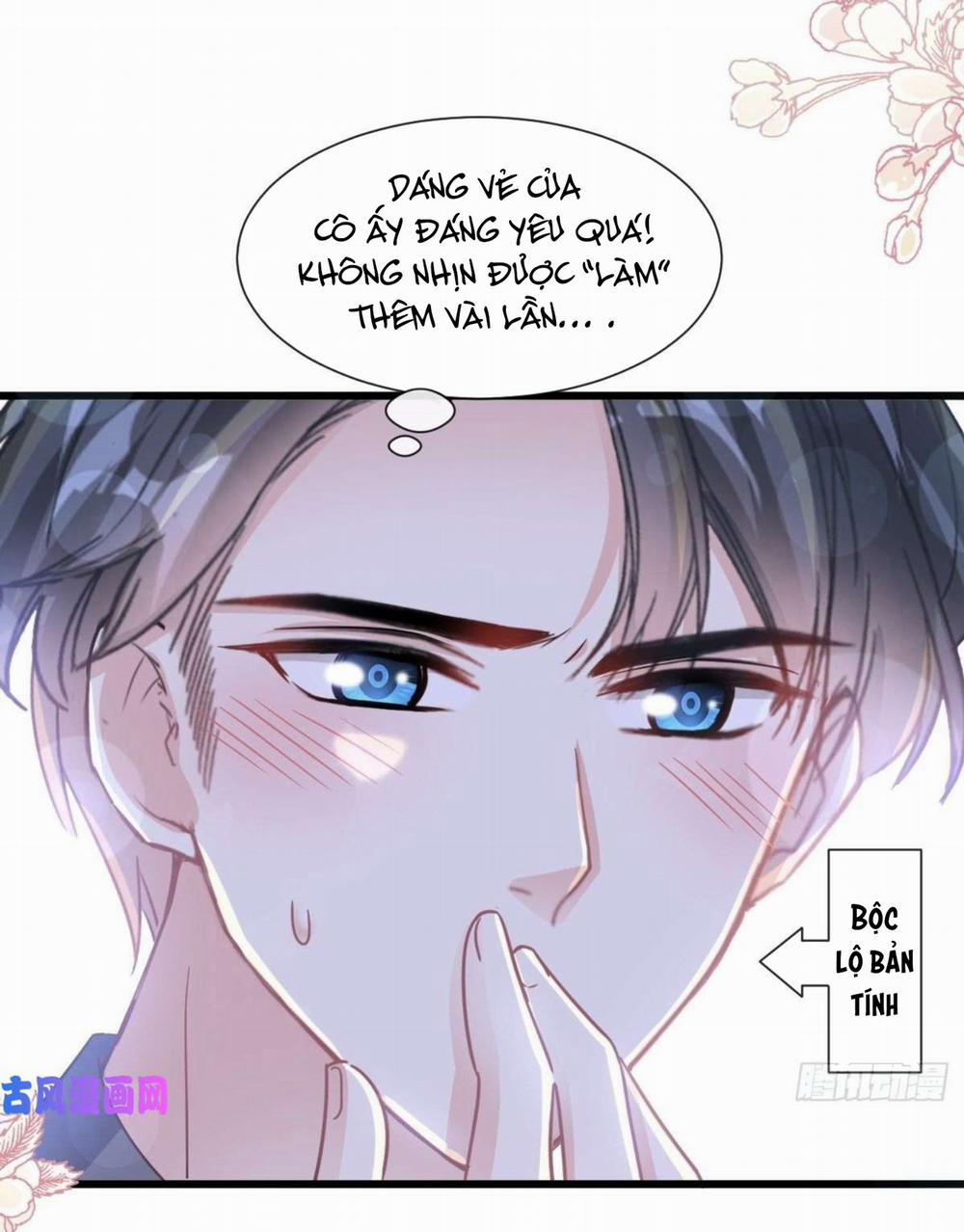 Bá Đạo Tổng Tài Nhẹ Nhàng Yêu 91 trang 12