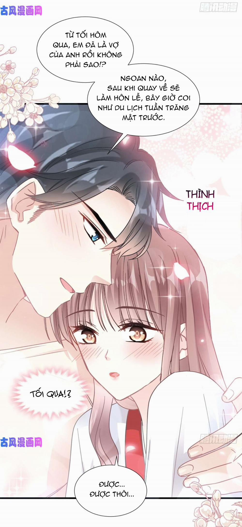 Bá Đạo Tổng Tài Nhẹ Nhàng Yêu 94 trang 21