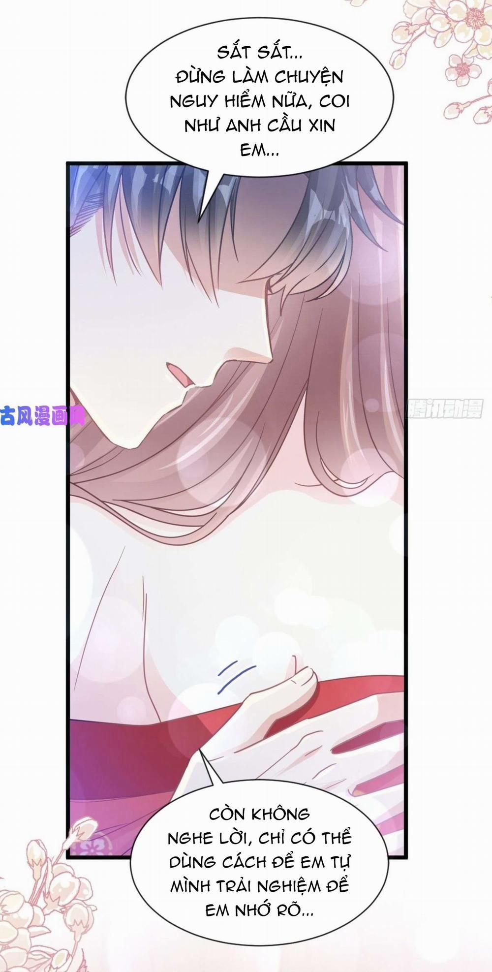 Bá Đạo Tổng Tài Nhẹ Nhàng Yêu 95 trang 12