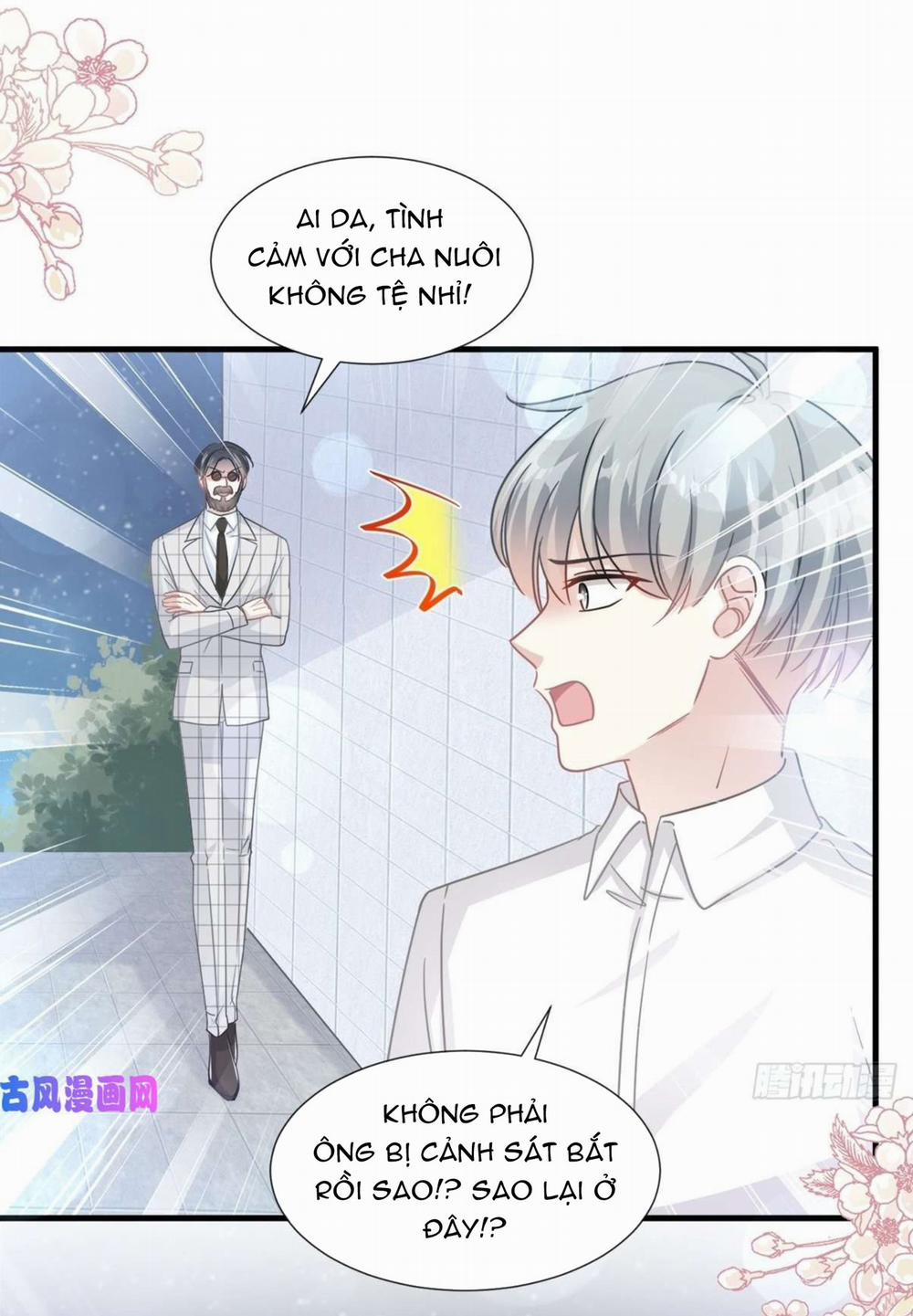 Bá Đạo Tổng Tài Nhẹ Nhàng Yêu 95 trang 21