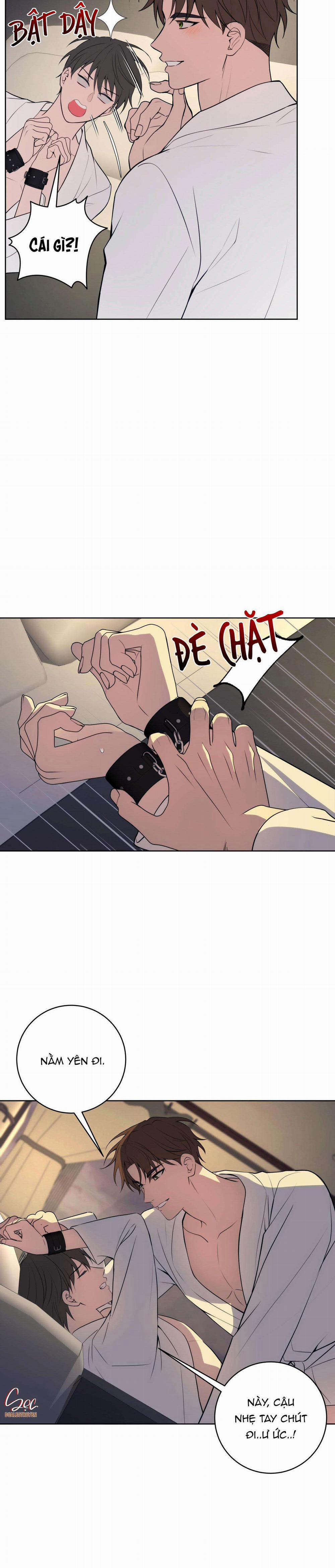 Ba Đêm Làm Tình Thiệt Đấy 19 trang 3