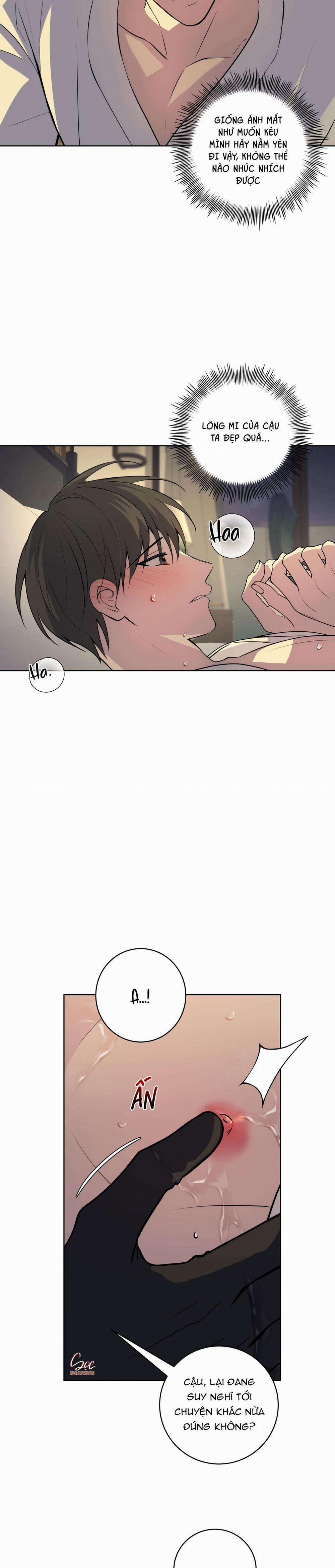 Ba Đêm Làm Tình Thiệt Đấy 19 trang 7