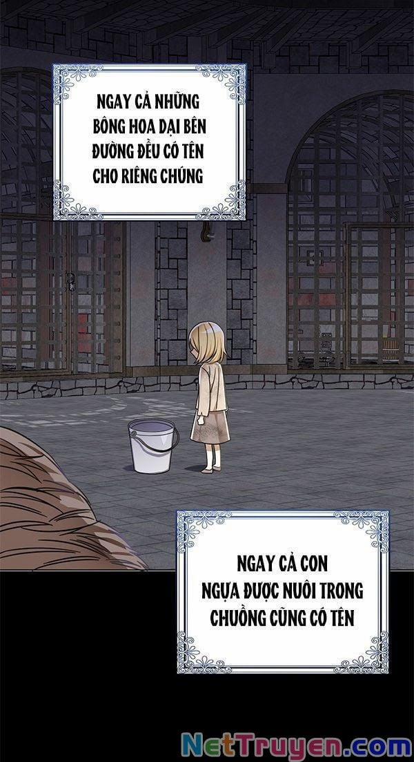 Ba Người Anh Trai Của Tôi Là Bạo Quân 10 trang 17