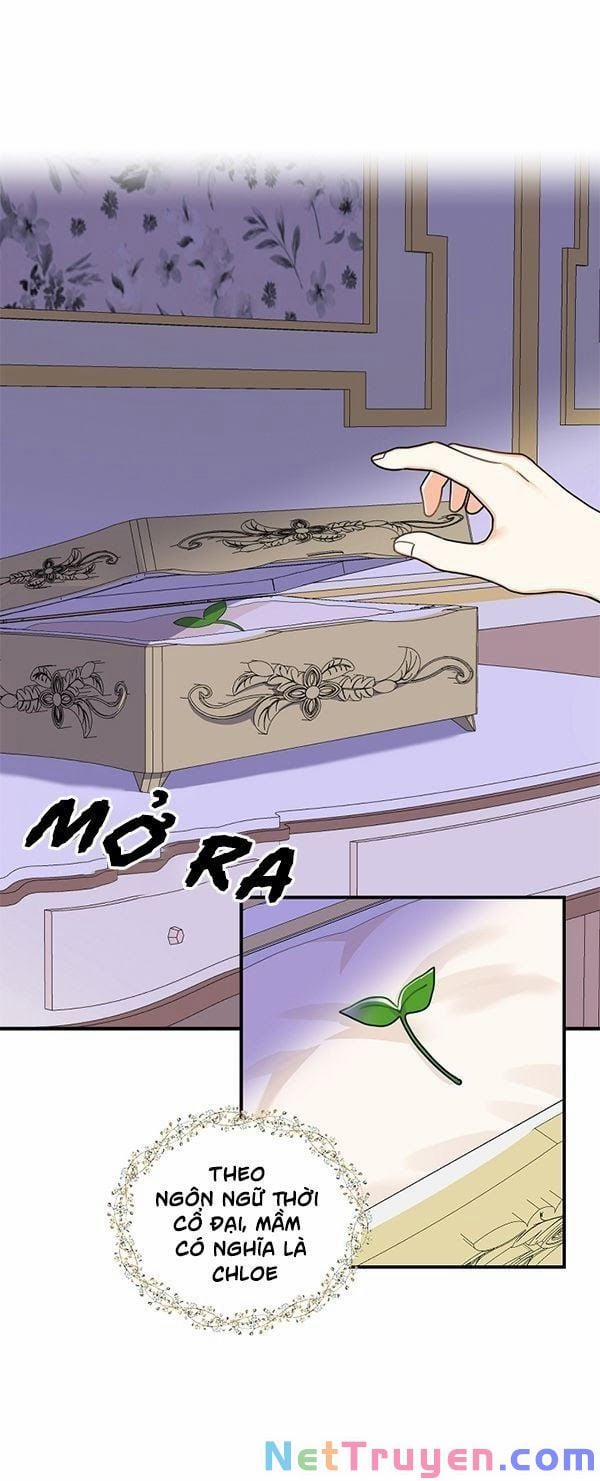 Ba Người Anh Trai Của Tôi Là Bạo Quân 11 trang 38