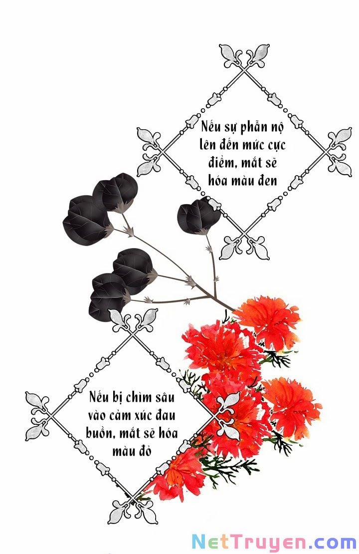 Ba Người Anh Trai Của Tôi Là Bạo Quân 18 trang 16