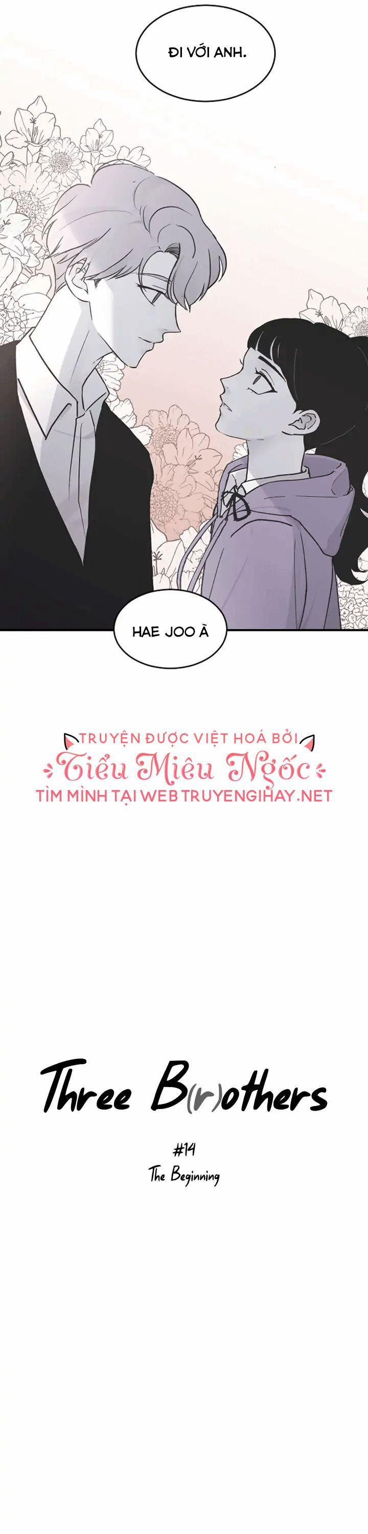 Ba Ông Anh Trai Cực Phẩm Của Tôi 14 trang 11